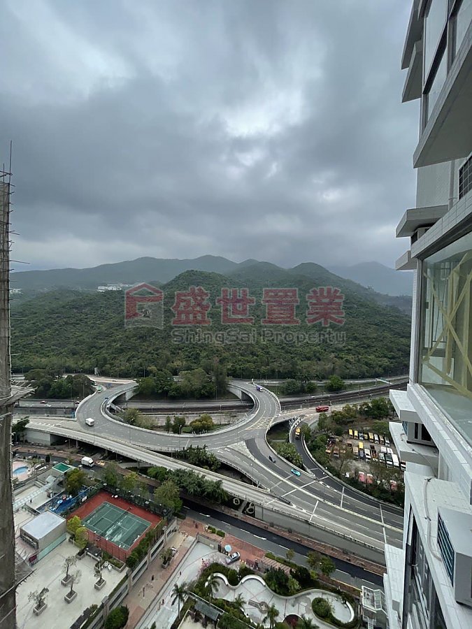 PICTORIAL  Shatin S001403 For Buy
