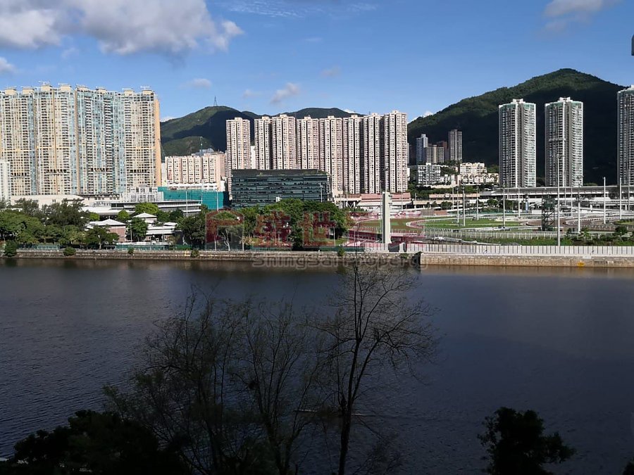 PICTORIAL GDN  Shatin T019579 For Buy