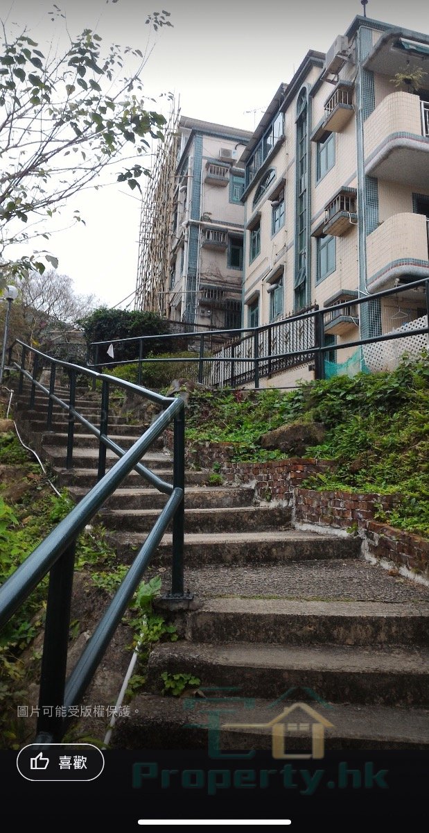 花心坑村 @ EMILY 95080096