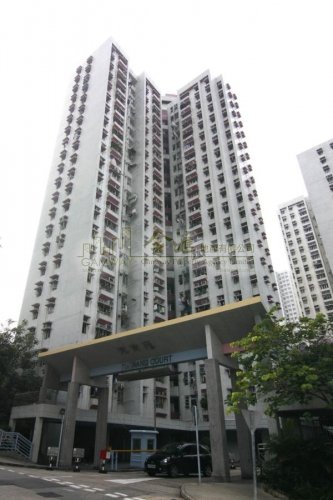 TIN WANG  Wang Tau Hom L W154766 For Buy
