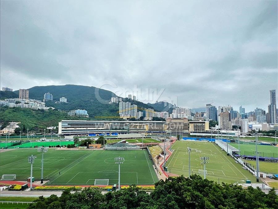 RACE COURSE MAN Happy Valley M E190296 For Buy