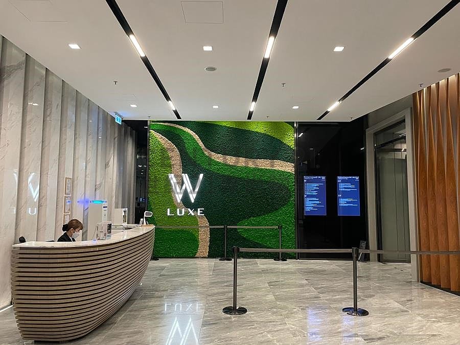 W LUXE Shatin H C132998 For Buy