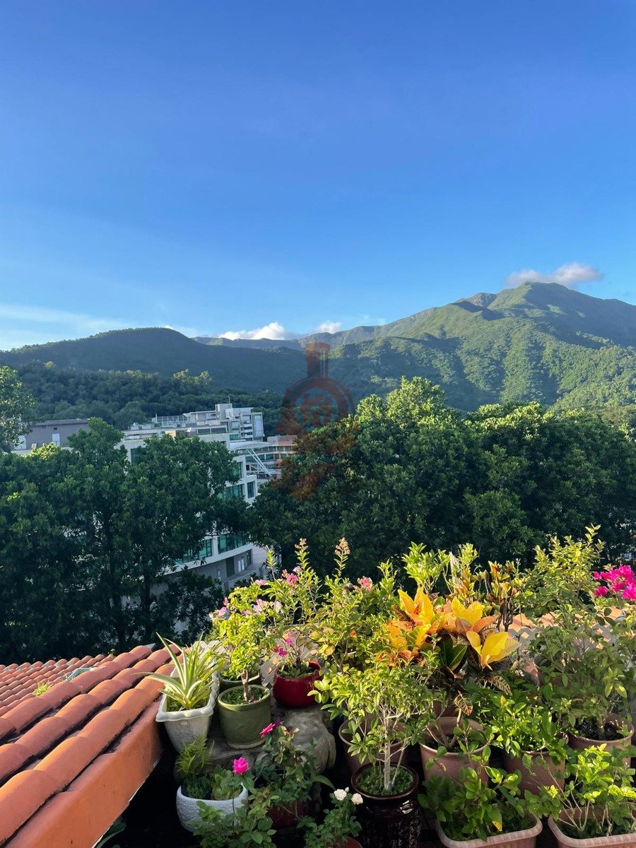 FOREST HILL Tai Po 1376947 For Buy