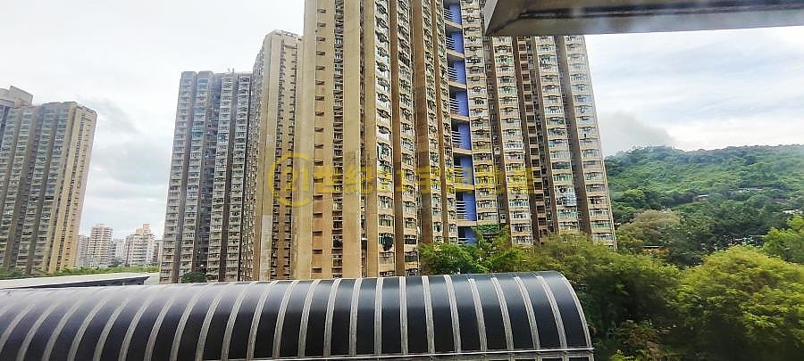 TAI WO ESTATE BLK 07 ON WO HSE Tai Po M T153392 For Buy