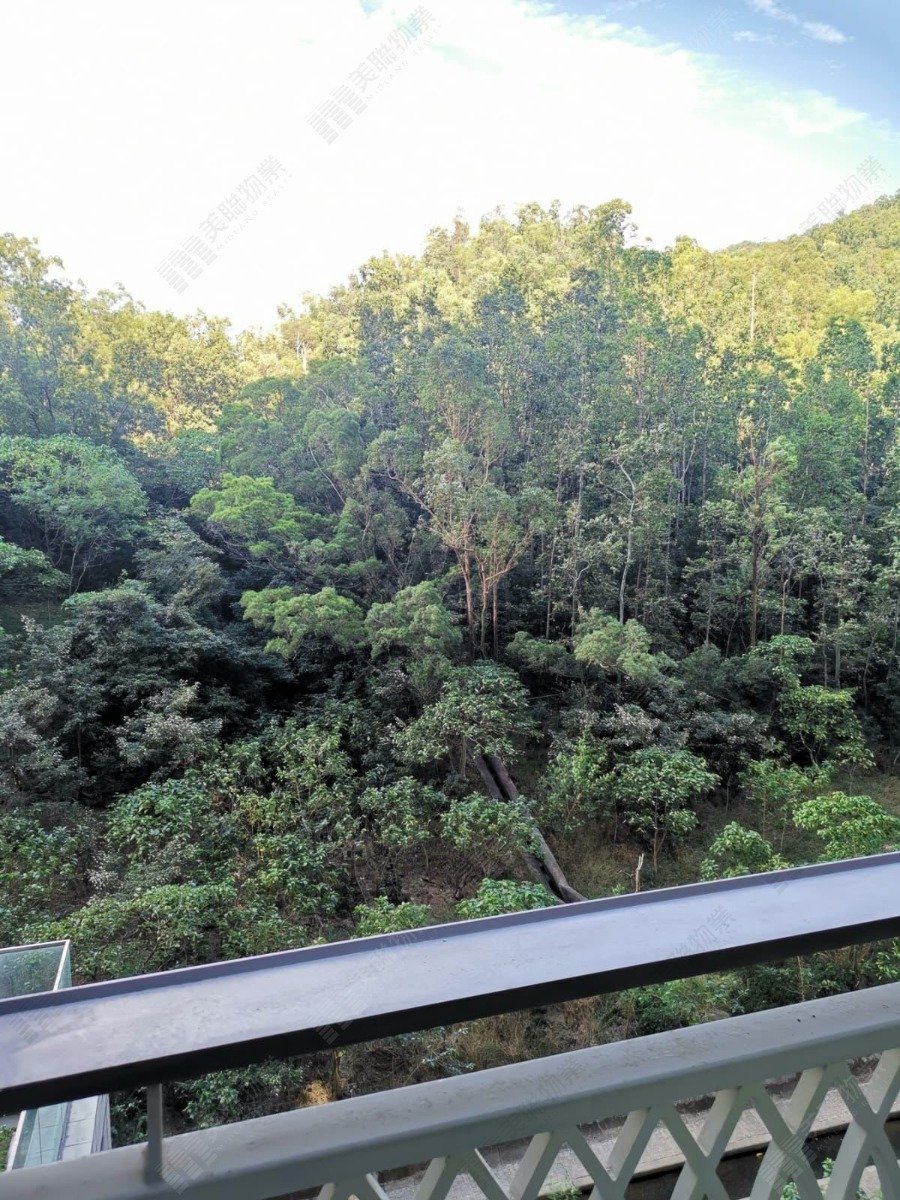 THE BEAUMOUNT TWR 02 Tseung Kwan O L 1298647 For Buy