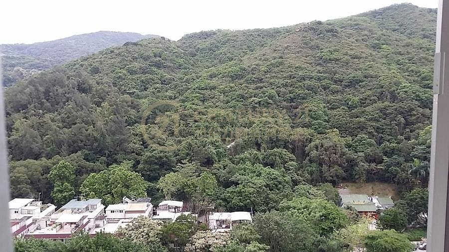 顯明苑 (綠表)