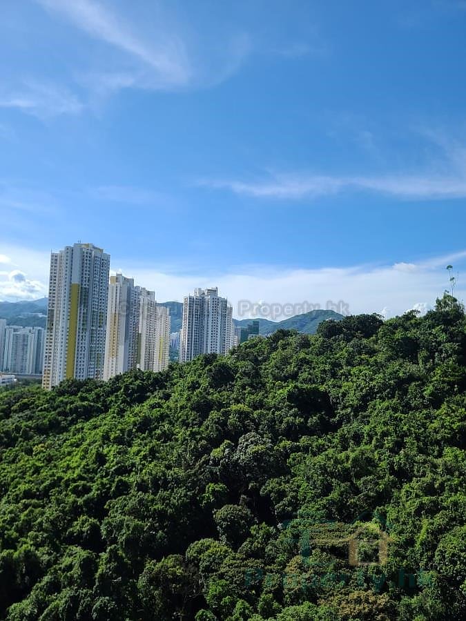 GREENHILL VILLA TWR 01 (SSFP) Shatin M 133141 For Buy