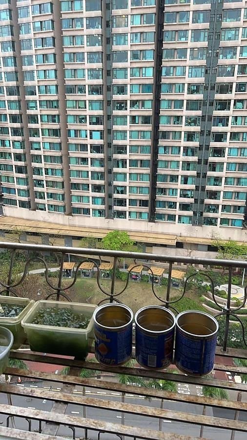 HUNGHOM BAY CTR HIGHBURGH HSE BLK G Hunghom W089022 For Buy