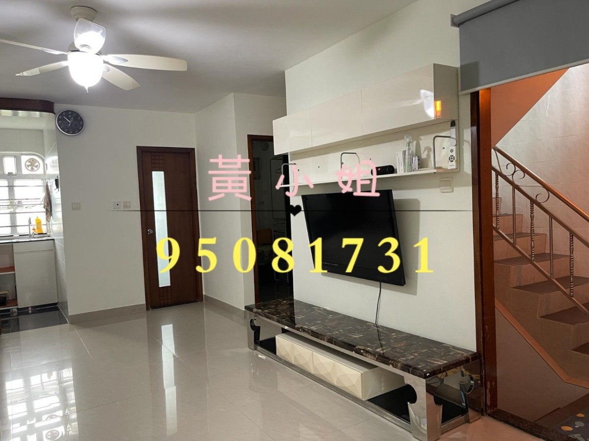 散头角 95081731