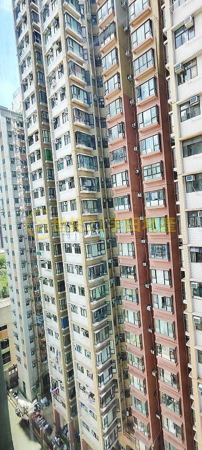 REVE PLAZA Tai Po M T154266 For Buy