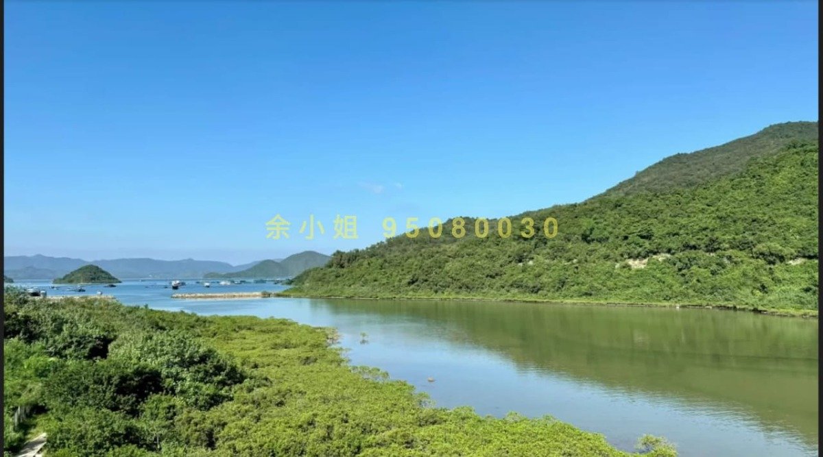 企嶺下老圍 95080030