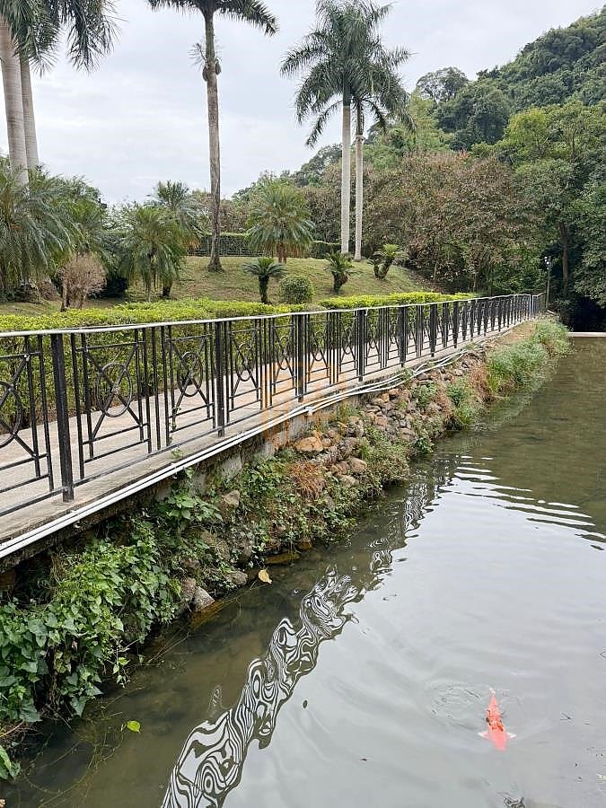 Tai Po L B000257 For Buy
