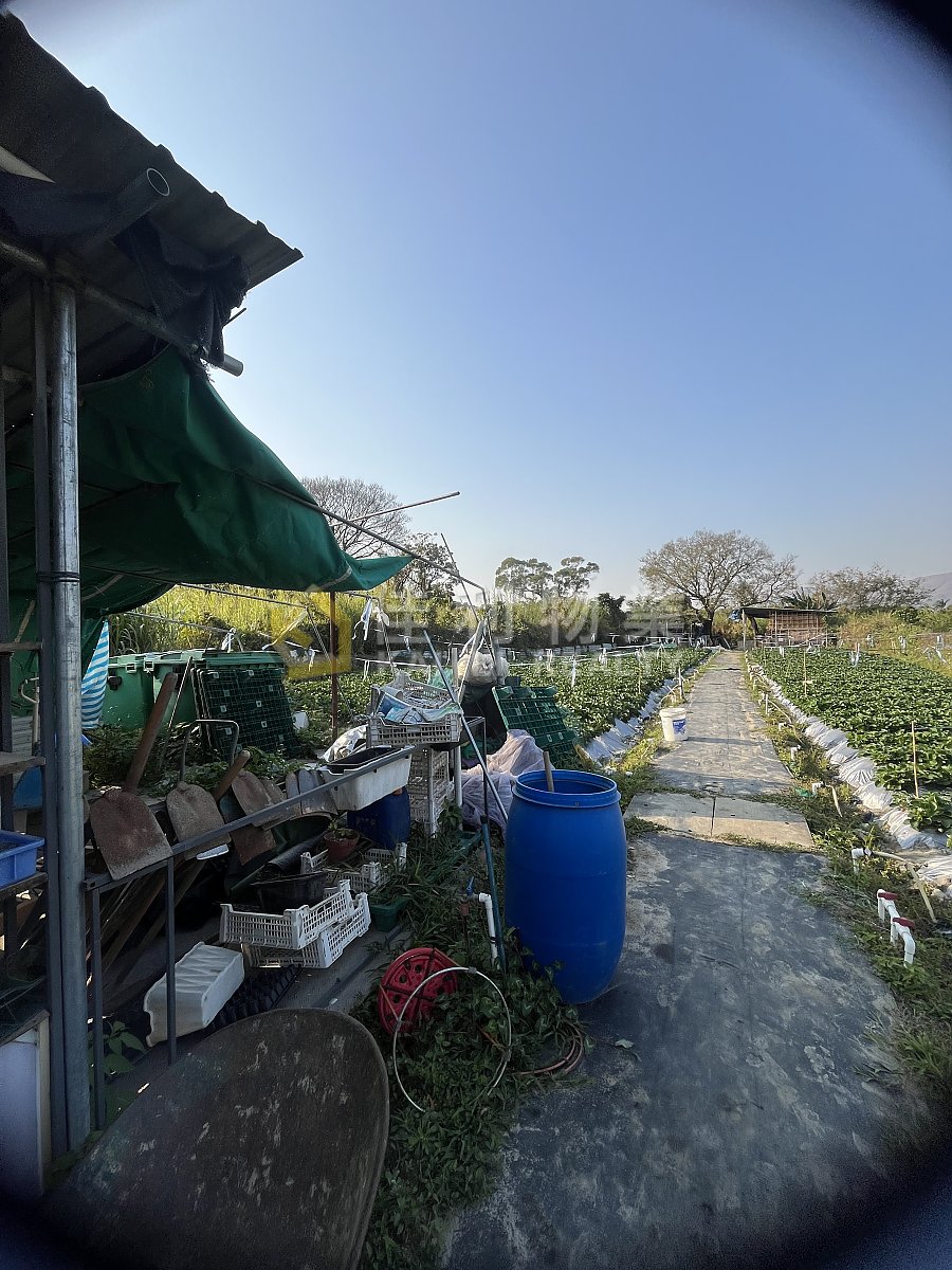 SHUI TSAN TIN Yuen Long Y034463 For Buy