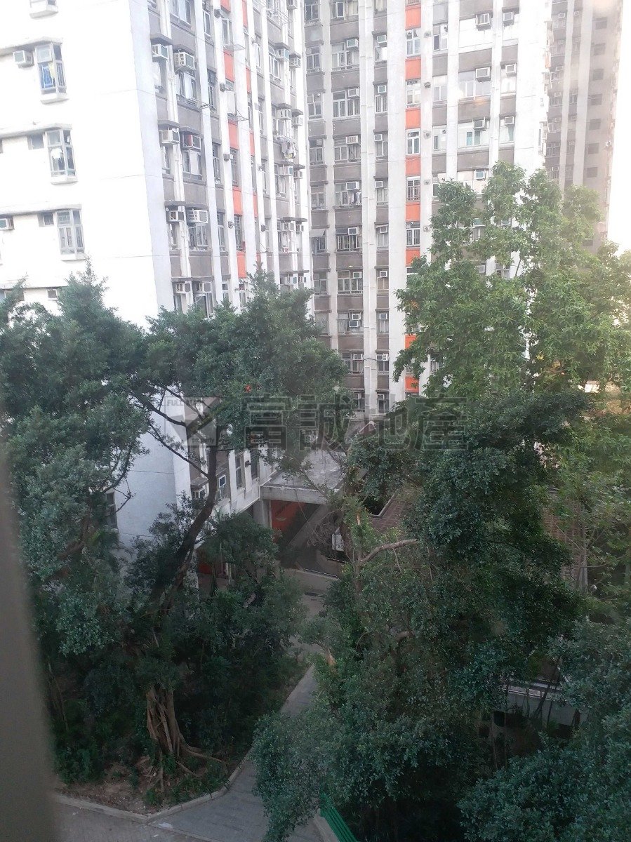 TIN MA COURT  Wang Tau Hom T089202 For Buy