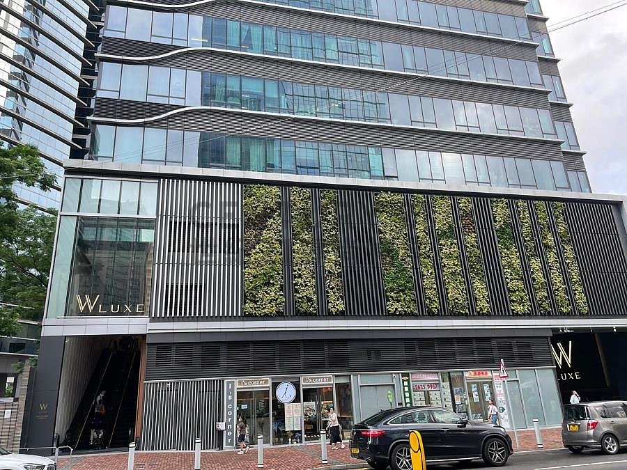 W LUXE Shatin H C173356 For Buy