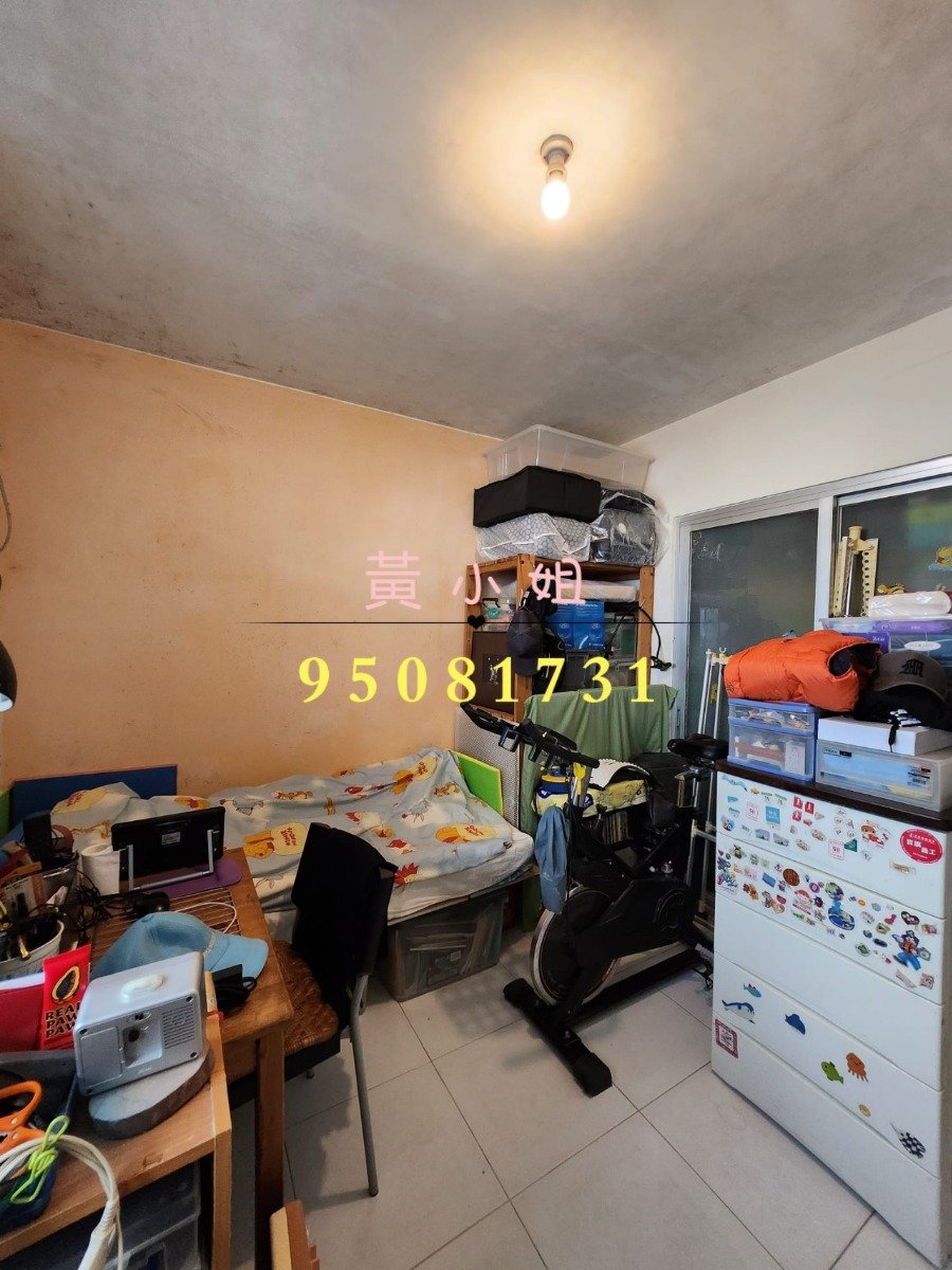 布心排   95081731