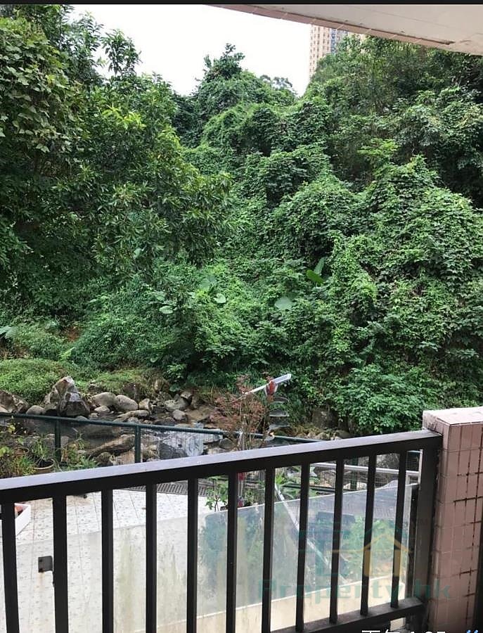 TAI LAM LIU ?? Shatin 134854 For Buy
