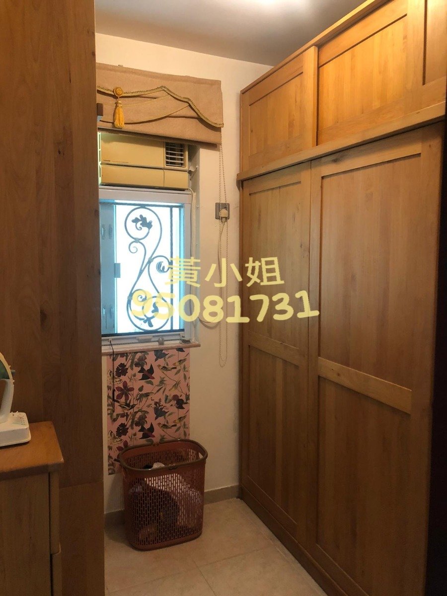 芦慈田村  95081731