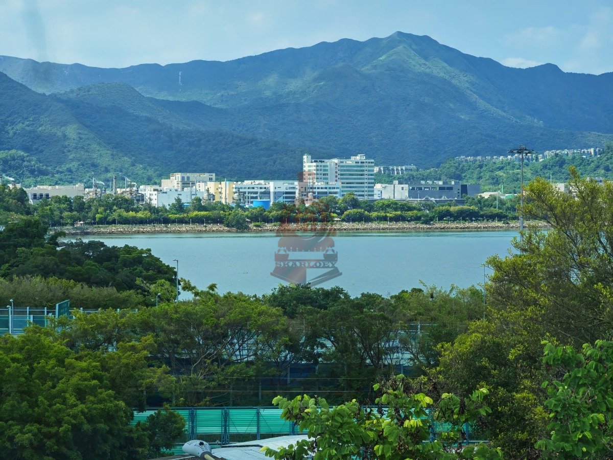 CHATEAU ROYALE Tai Po 1466884 For Buy