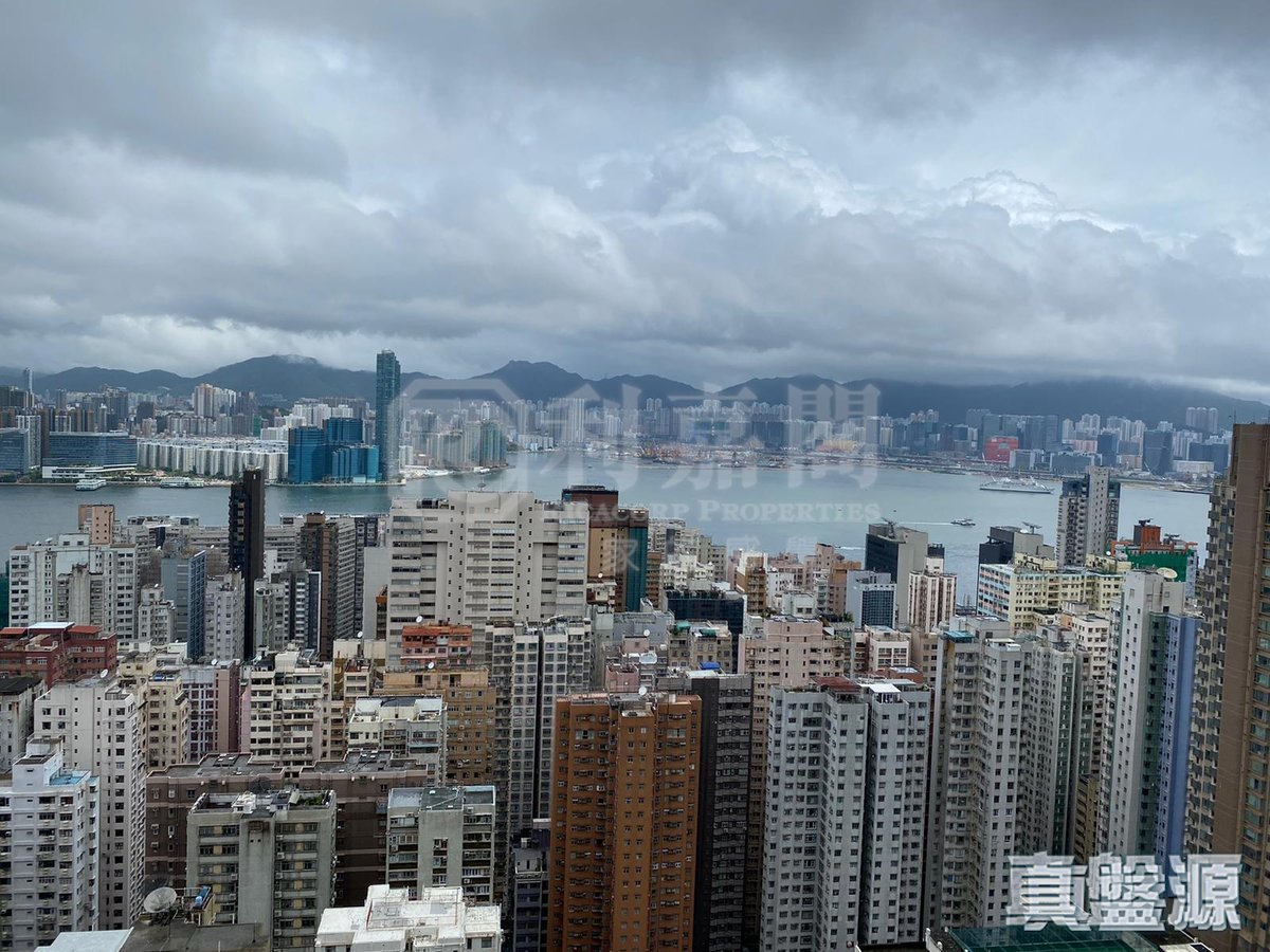SKYSCRAPER North Point Hill H 1631550 For Buy