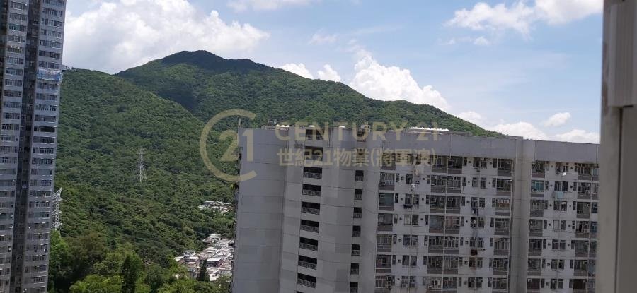 翠林村 第04座 欣林樓 (連地價)