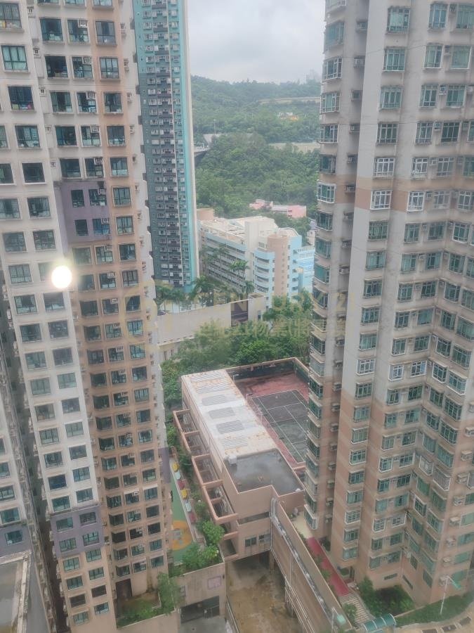 富麗花園 第01座