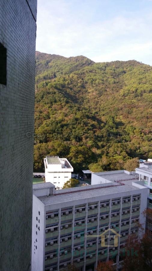 寶林村 第02座 寶泰樓 (綠表)