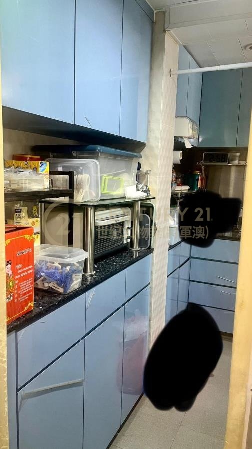 唐明苑 唐輝閣 A座 (綠表) 唐明苑 唐輝閣 A座 (綠表)