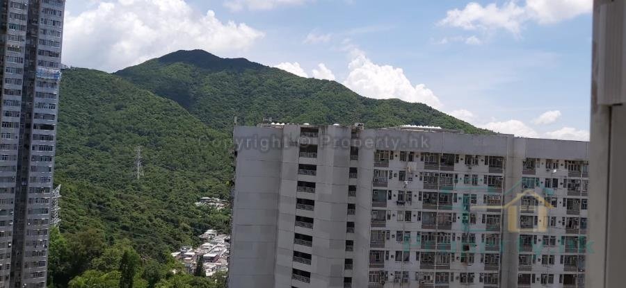 翠林村 第04座 欣林樓 (連地價)