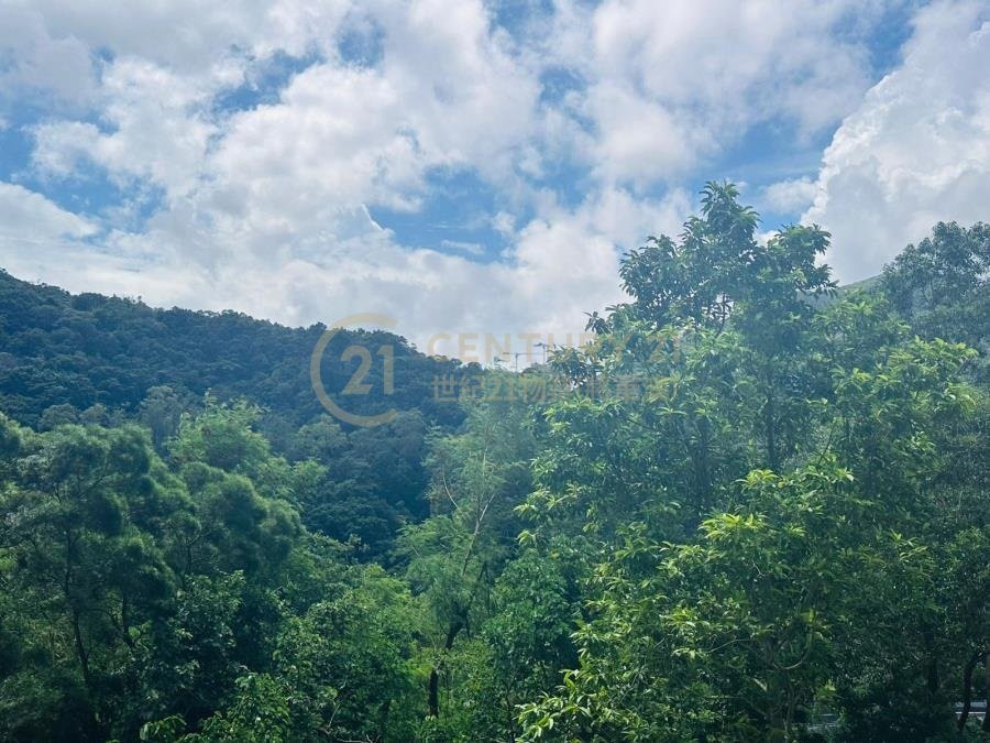 康盛花園 第01座 (連地價)