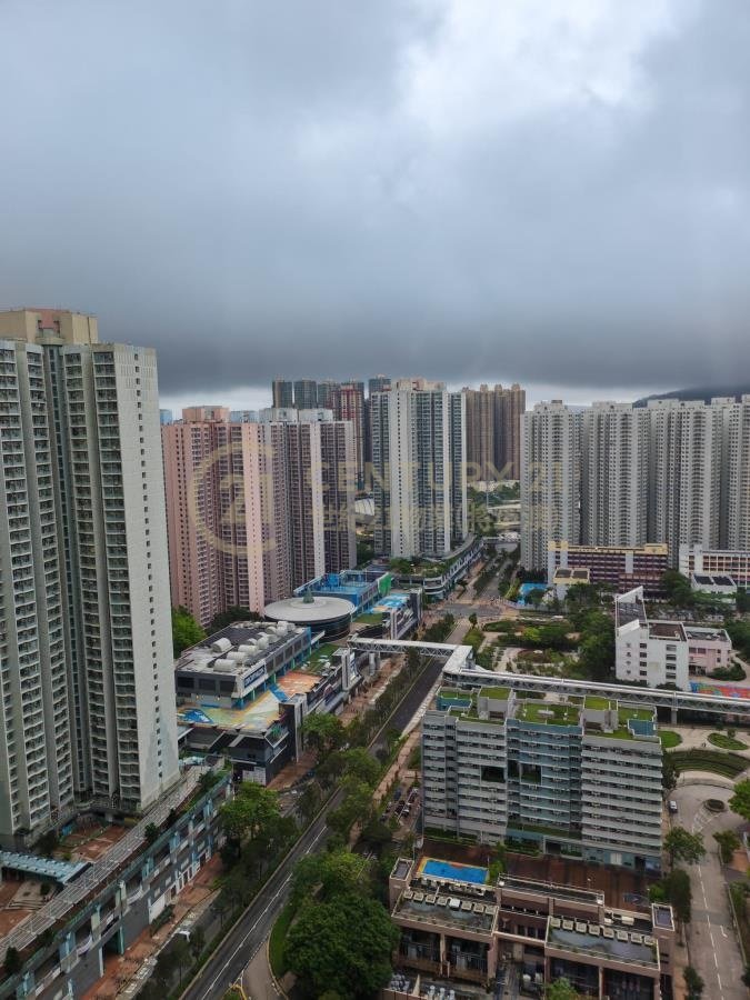 唐明苑 唐富閣 C座 (綠表)