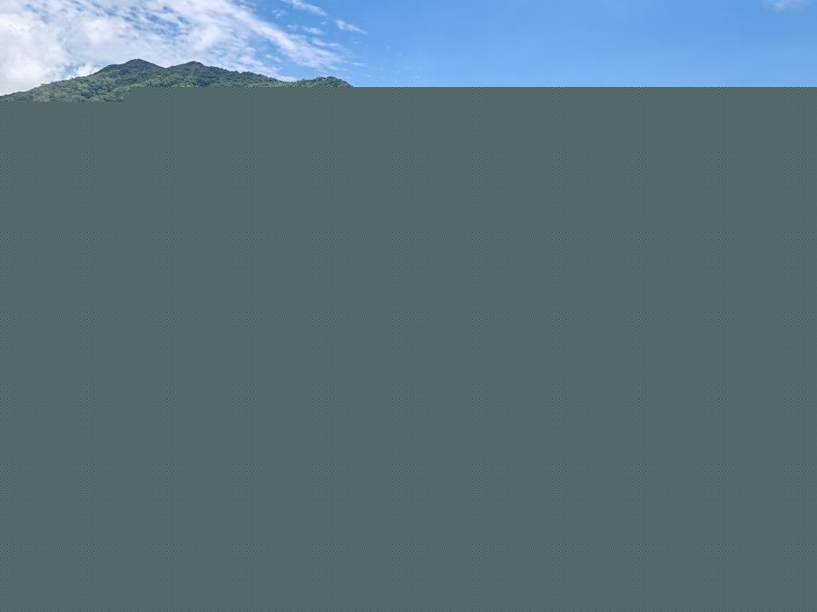 寶林村 第01座 寶仁樓 (綠表)