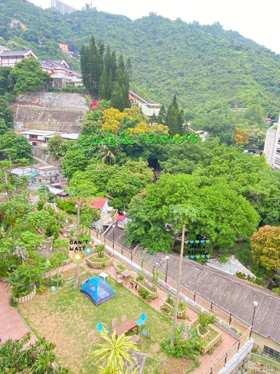 排頭村 @ EMILY 95080096