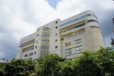 GOLDLION HOLDINGS CTR Shatin M C069250 For Buy