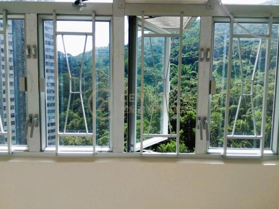 翠林村 第06座 輝林樓 (連地價)