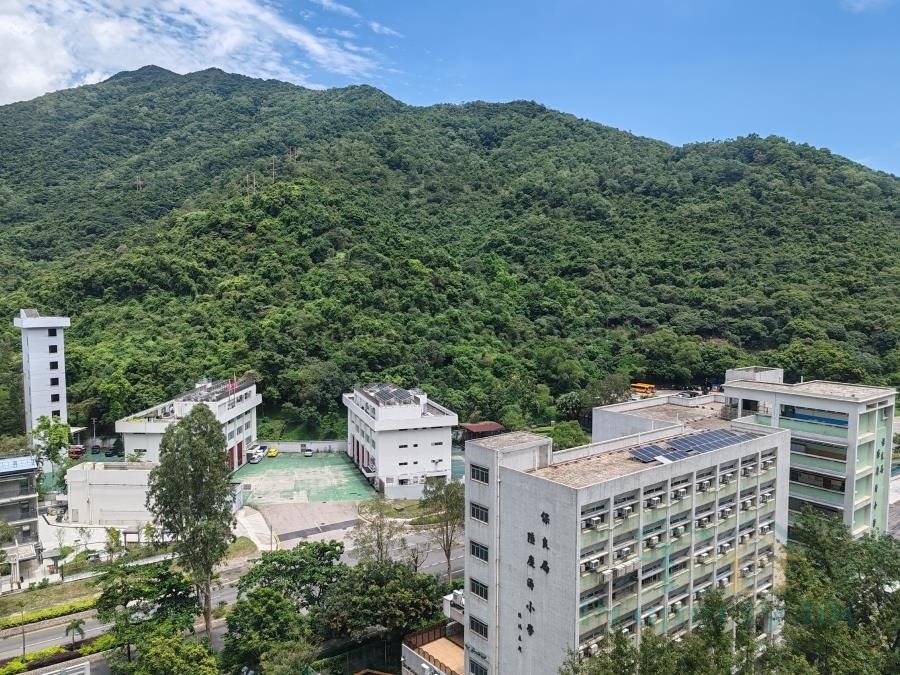 寶林村 第01座 寶仁樓 (綠表)