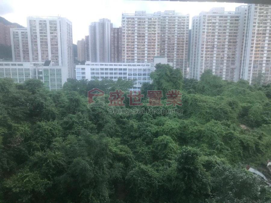 KING TIN COURT Shatin H S007215 For Buy