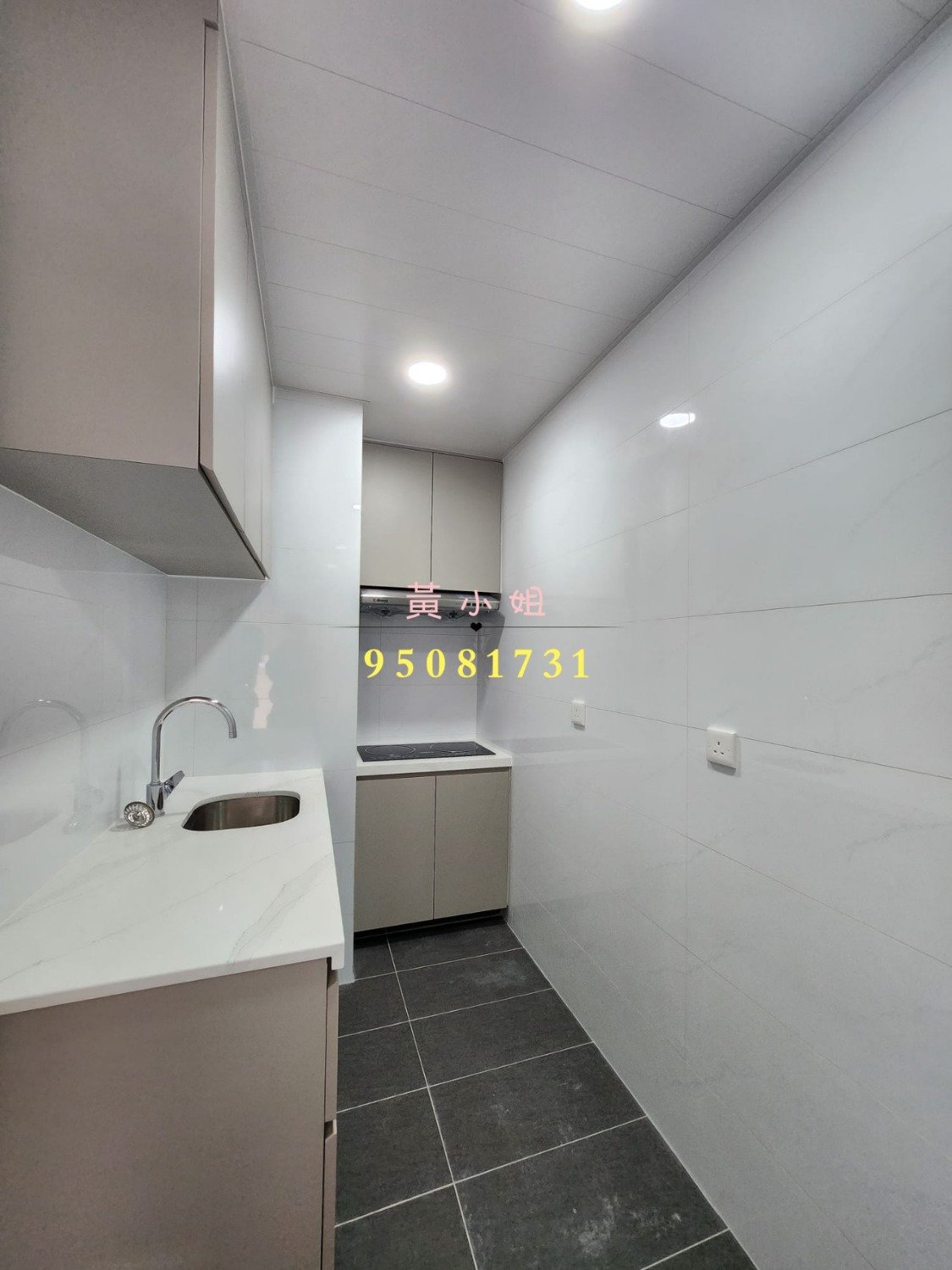 龙尾村   95081731