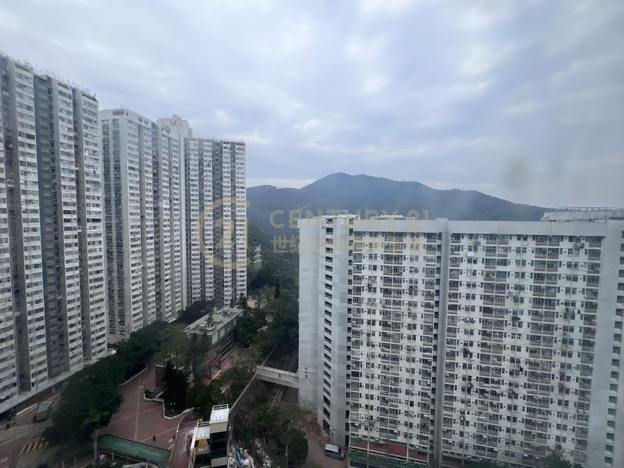 翠林村 第04座 欣林樓 (綠表)