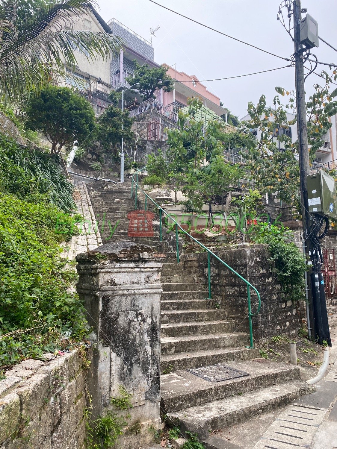 排頭村 @ EMILY 95080096