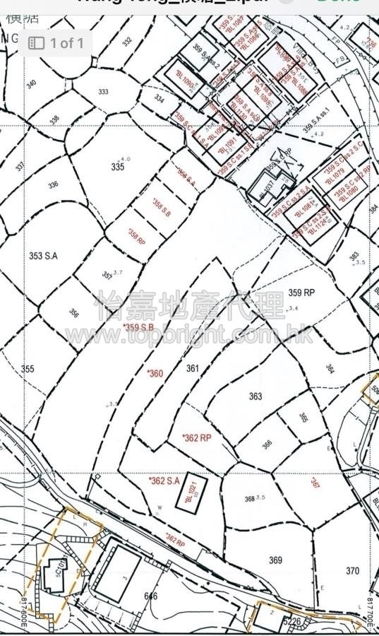 WANG TONG Islands 115205 For Buy