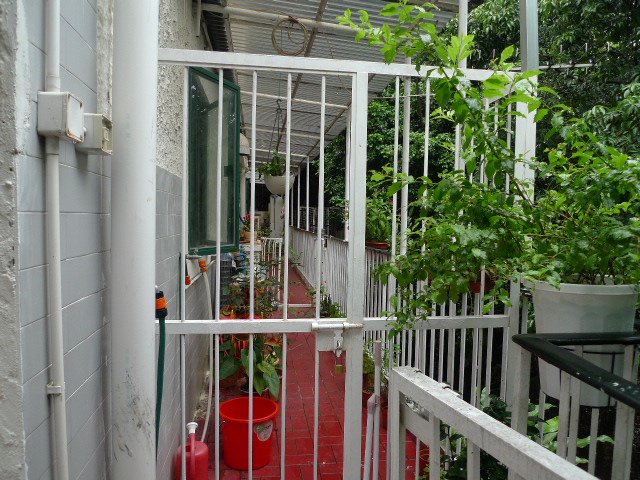 NGAU PEI SHA NEW VILLAGE Shatin G H019119 For Buy