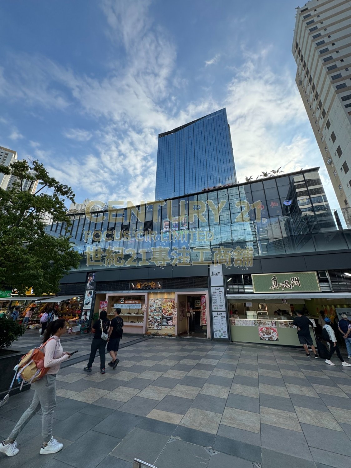KINGS WING PLAZA PH 01 Shatin L C086517 For Buy