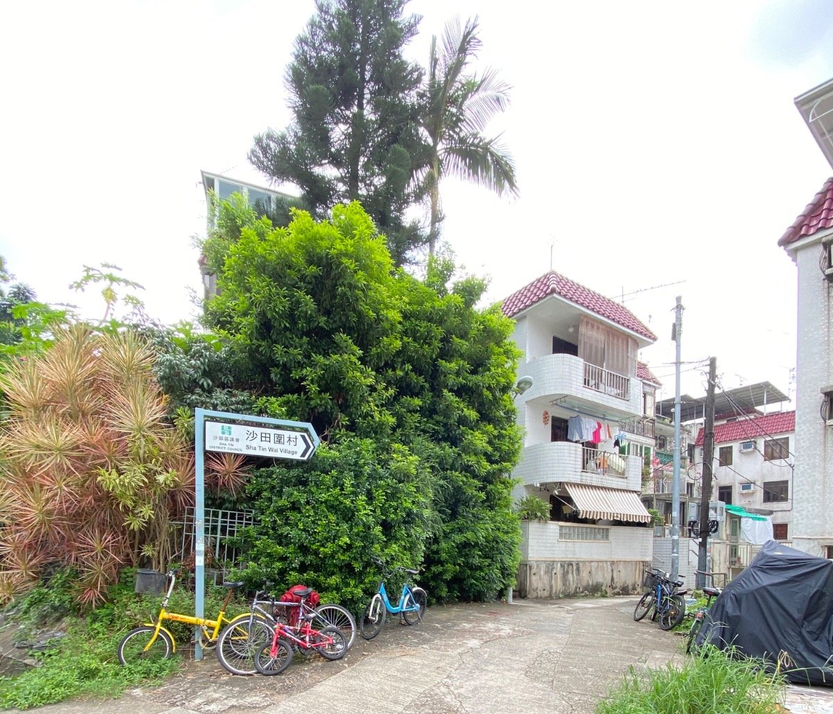 沙田围旧村 @ EMILY 950...