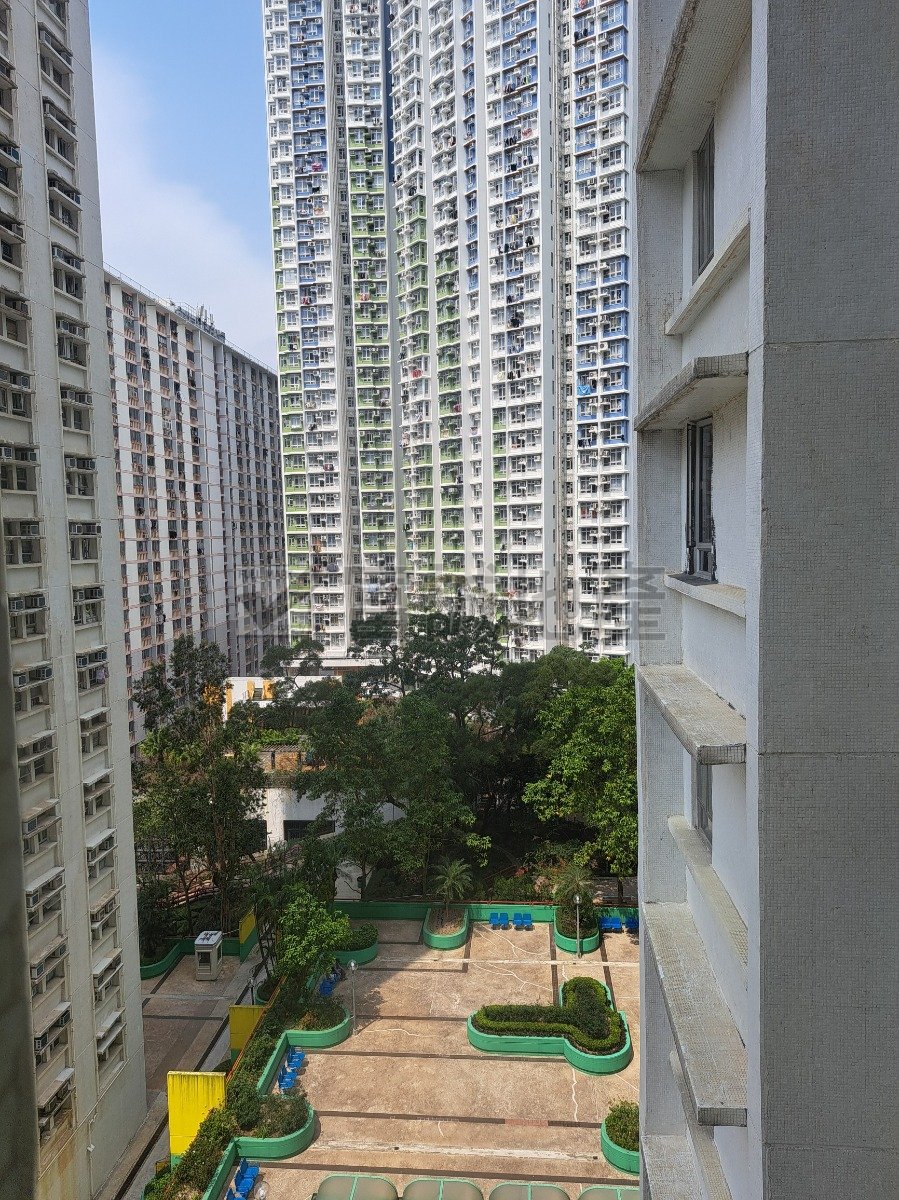 KING SHAN COURT Ngau Chi Wan M G085920 For Buy