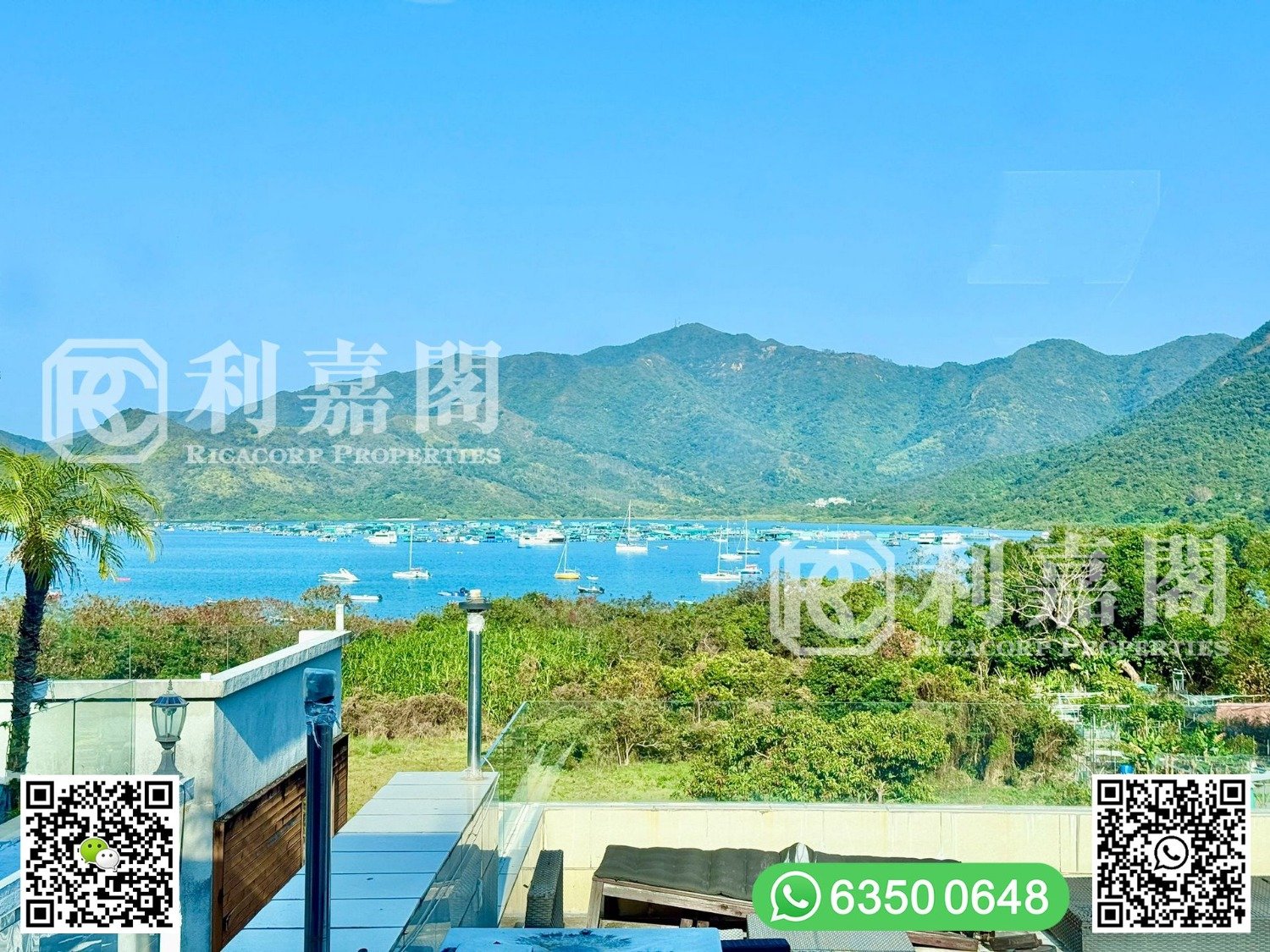 SAI KENG Tai Po All 1665066 For Buy