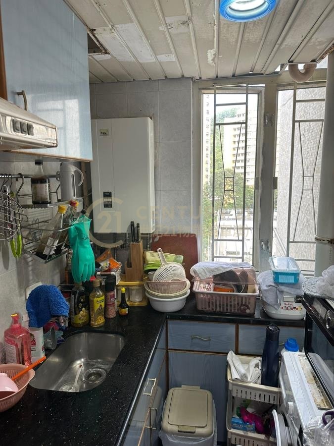 頌明苑 D座 翠明閣 (綠表)