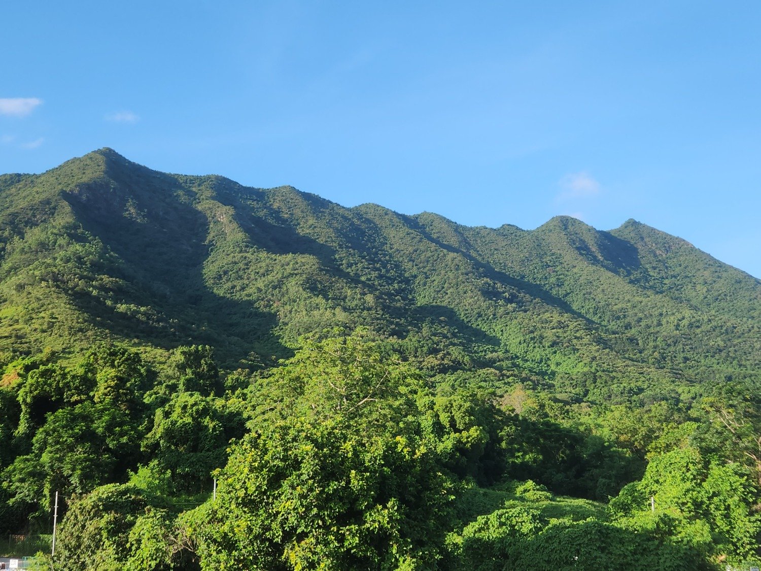 TING KOK VILLAGE TING KOK VILLAGE