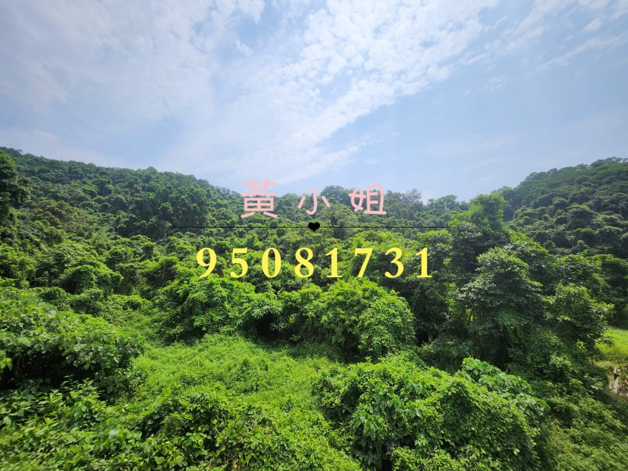 FUNG YUEN TSUEN FUNG YUEN TSUEN