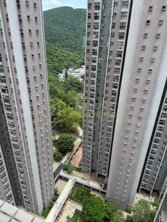 景明苑 C座 旭景閣(綠表)